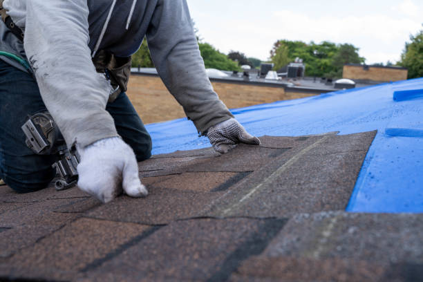 Best Roof Moss and Algae Removal  in Lakemore, OH